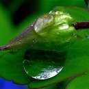 이미지블랜딩 이미지