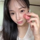 진아화장품 - 고성군 중앙로 26 | 블러셔 추천! 센슬 타임블러쉬 오후 1시 여름쿨톤 스틱블러셔 후기
