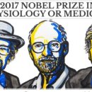 인체 - 리듬 이미지