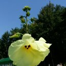 박달농장 이미지