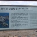 감포주유소 Daum카페