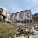 충북 제천 아이와 가기 좋은 리솜 레스트리 클린 S30 방문 후기