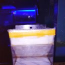 추정실내낚시터 이미지