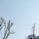 술타벅스