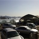 신세계농장(1) 이미지