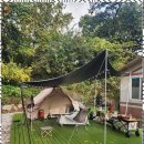 숲속향기캠핑장 이미지