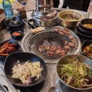 옥길동 갈매기 이미지