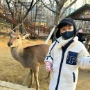 H1996 네이버블로그