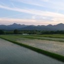 행정사김영수사무소 이미지