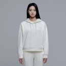 레푸스 이미지
