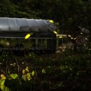 훼미리낚시터 이미지