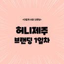 김인순의 허니제주 리뉴얼 1일차(미리캔버스로 로고만들기)