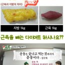 점핑지니