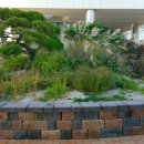 도솔약국 이미지