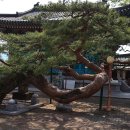 단월약국 이미지