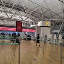 다빈치덴탈 | 비지니스 기내식 라운지 쇼퍼 서비스