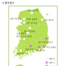 기상청에서 제공하는 전국 벚꽃 개화현황(부산, 경주, 진해, 하동 🌸핌) 이미지