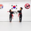 드림태권도전문도장 Daum카페