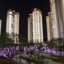 디자인투데이