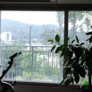 도안2단지베르디움(아)경로당 | 다꿈스쿨 청울림의 부동산기초반 3주차 - 임장후기