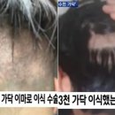 시크맨 이미지