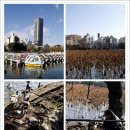일주전기 이미지