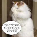 혀누야 수능 잘 보고 와!!!!! 🐣🤍 이미지