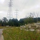 계룡산유아숲체험원 이미지