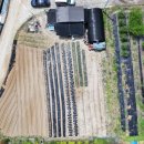 덕둔지농장 이미지