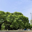 공간 -모정 이미지