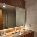 소노캄 델피노C 이미지