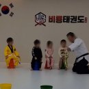 사랑스러운태권도 네이버블로그
