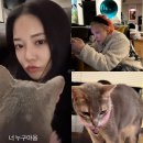 지드래곤 이주연 열애설 또?증거 집 인테리어 고양이?