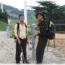 봉충목장 Daum카페