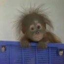 안성종로약국 | NAKWON (feat. 누룽지)