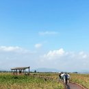 순천만습지 | 순천만습지 갈대밭 탐방로 후기 입장료·주차·갈대열차 꿀팁까지 총정리