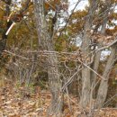 문안산주유소 이미지