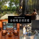 청심 | [국내여행] 유원재 온천호텔 (1)ㅣ청심 패밀리 객실 리얼 상세 후기