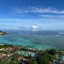 로얄룸클럽 이미지