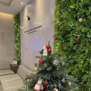 연세고운피부과의원 이미지