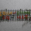 청도약국 이미지