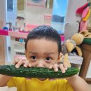 오이 🥒 오감놀이 이미지