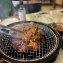 왕갈비둥지 이미지