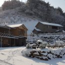 학포웰빙가 이미지