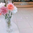 연세실버벨리 이미지