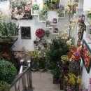 부엉이랜드 이미지