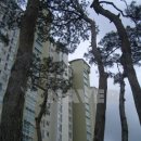 천안동일공인중개사사무소 이미지