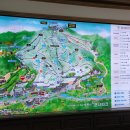 그린파크카 이미지