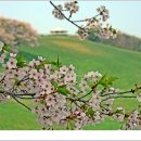 서산농장 이미지