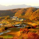 여주-0474 이미지